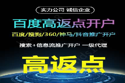 某某SEM团队成功提升网站流量与转化率的实战经验