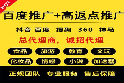 搜索引擎推广的佼佼者——百度搜索推广案例